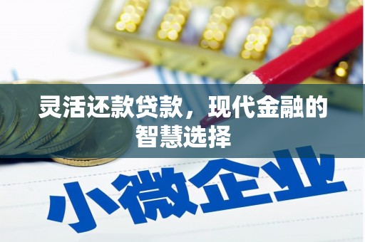 六安灵活还款贷款，现代金融的智慧选择