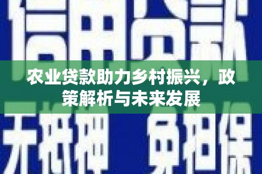 六安农业贷款助力乡村振兴，政策解析与未来发展
