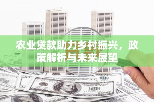 六安农业贷款助力乡村振兴，政策解析与未来展望