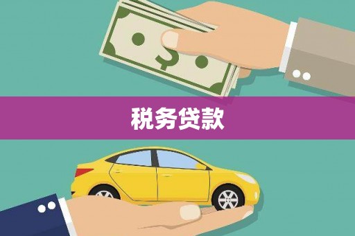 六安税务贷款