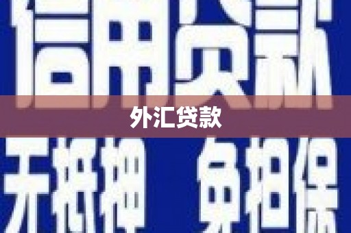 六安外汇贷款