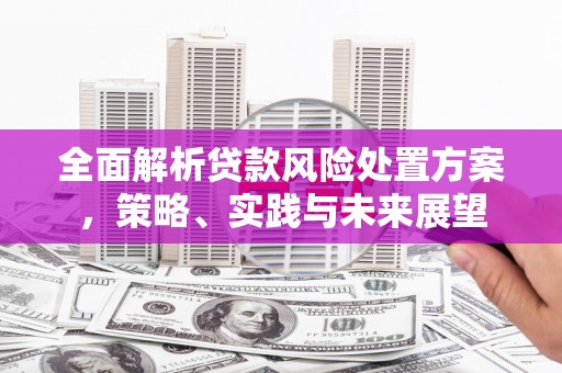 六安全面解析贷款风险处置方案，策略、实践与未来展望