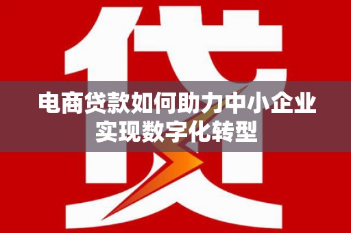 六安电商贷款如何助力中小企业实现数字化转型