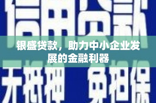 六安银盛贷款，助力中小企业发展的金融利器