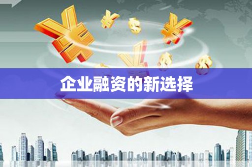 六安企业融资的新选择