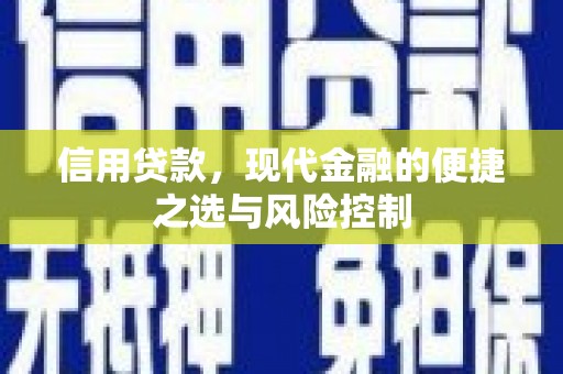 六安信用贷款，现代金融的便捷之选与风险控制