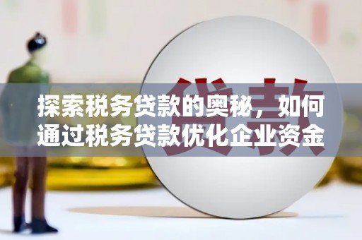 六安探索税务贷款的奥秘，如何通过税务贷款优化企业资金流