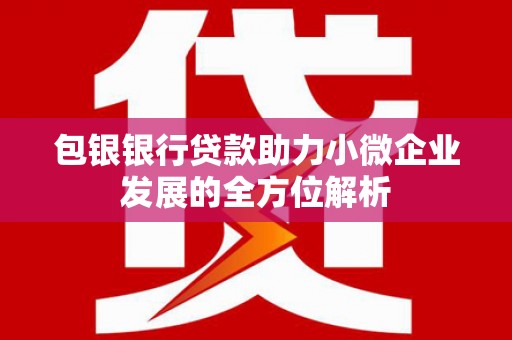 六安包银银行贷款助力小微企业发展的全方位解析