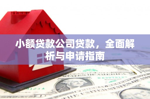 六安小额贷款公司贷款，全面解析与申请指南
