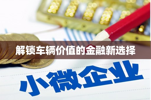 六安解锁车辆价值的金融新选择