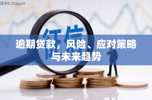 六安逾期贷款，风险、应对策略与未来趋势