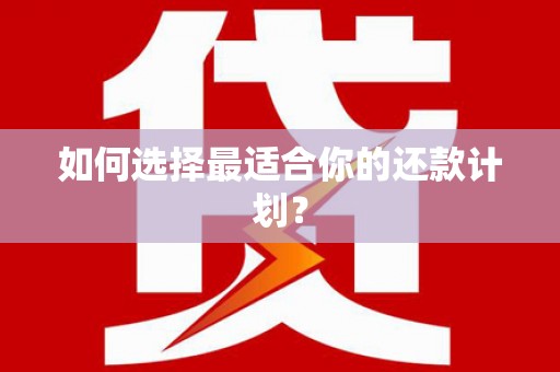 六安如何选择最适合你的还款计划？
