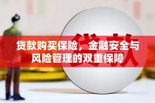 六安贷款购买保险，金融安全与风险管理的双重保障