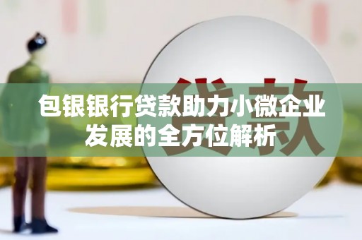 六安包银银行贷款助力小微企业发展的全方位解析