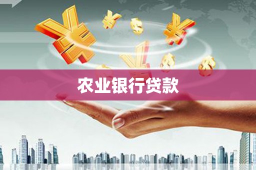六安农业银行贷款