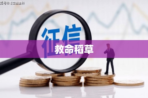 六安救命稻草