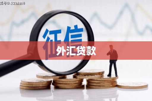 六安外汇贷款