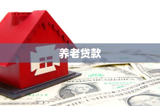 六安养老贷款