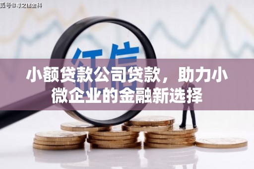 六安小额贷款公司贷款，助力小微企业的金融新选择