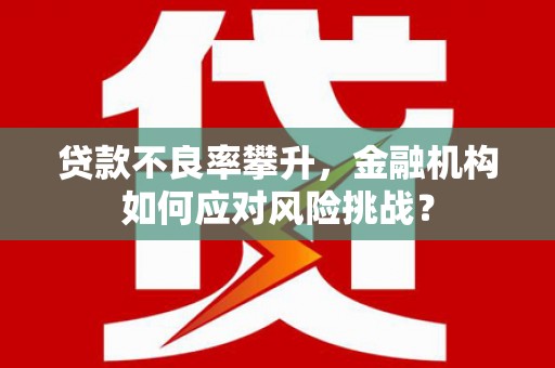 六安贷款不良率攀升，金融机构如何应对风险挑战？