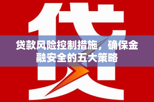 六安贷款风险控制措施，确保金融安全的五大策略