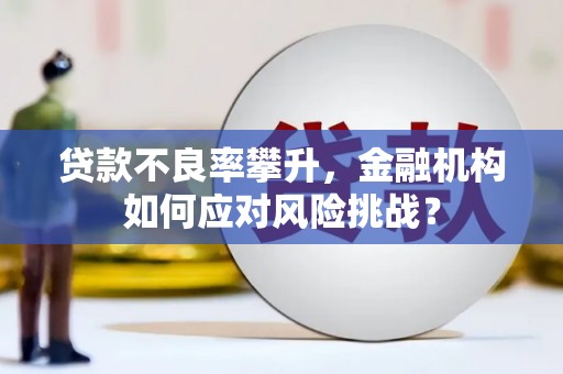 六安贷款不良率攀升，金融机构如何应对风险挑战？