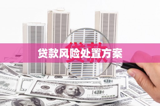 六安贷款风险处置方案
