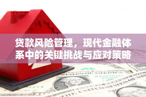 六安贷款风险管理，现代金融体系中的关键挑战与应对策略