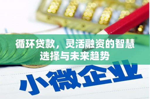 六安循环贷款，灵活融资的智慧选择与未来趋势