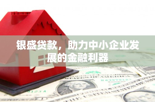 六安银盛贷款，助力中小企业发展的金融利器