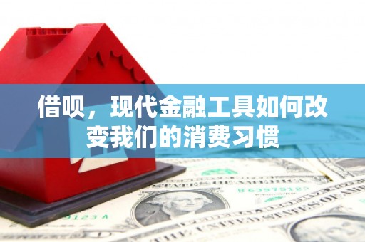 六安借呗，现代金融工具如何改变我们的消费习惯