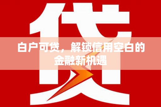 六安白户可贷，解锁信用空白的金融新机遇