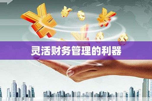 六安灵活财务管理的利器