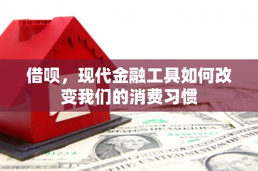 六安借呗，现代金融工具如何改变我们的消费习惯