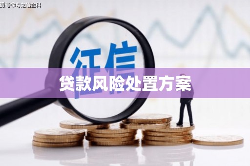 六安贷款风险处置方案