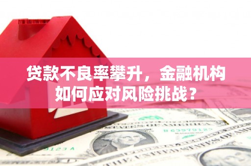 六安贷款不良率攀升，金融机构如何应对风险挑战？