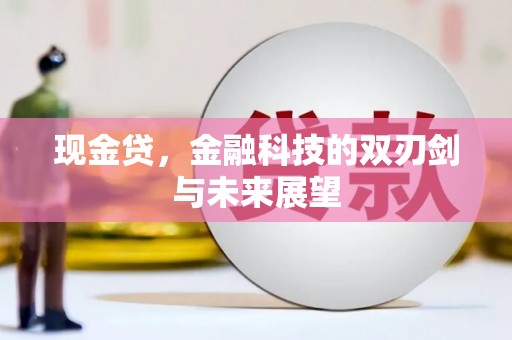 六安现金贷，金融科技的双刃剑与未来展望
