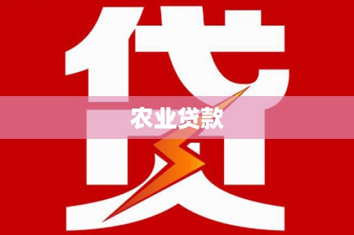 六安农业贷款