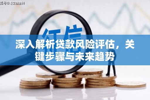 六安深入解析贷款风险评估，关键步骤与未来趋势