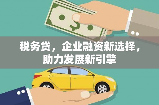 六安税务贷，企业融资新选择，助力发展新引擎