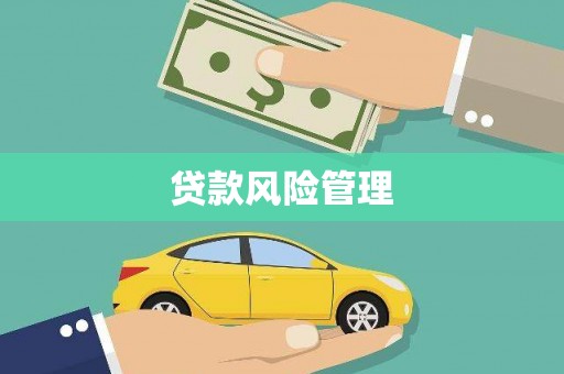 六安贷款风险管理