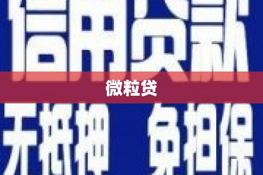 六安微粒贷