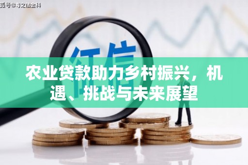 六安农业贷款助力乡村振兴，机遇、挑战与未来展望