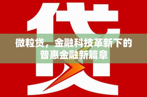 六安微粒贷，金融科技革新下的普惠金融新篇章