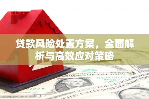 六安贷款风险处置方案，全面解析与高效应对策略