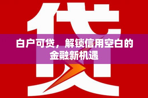 六安白户可贷，解锁信用空白的金融新机遇