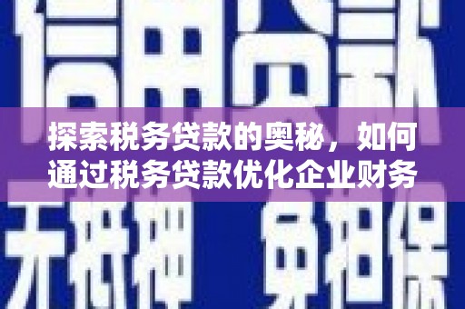 六安探索税务贷款的奥秘，如何通过税务贷款优化企业财务