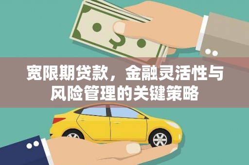 六安宽限期贷款，金融灵活性与风险管理的关键策略