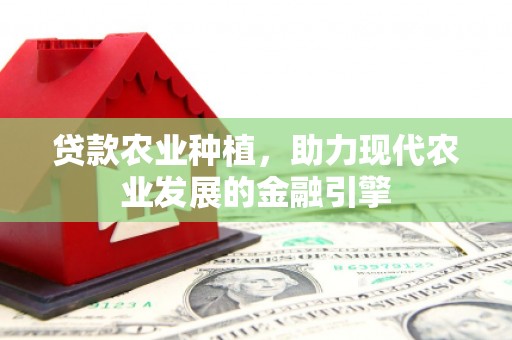 六安贷款农业种植，助力现代农业发展的金融引擎