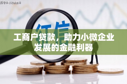 六安工商户贷款，助力小微企业发展的金融利器